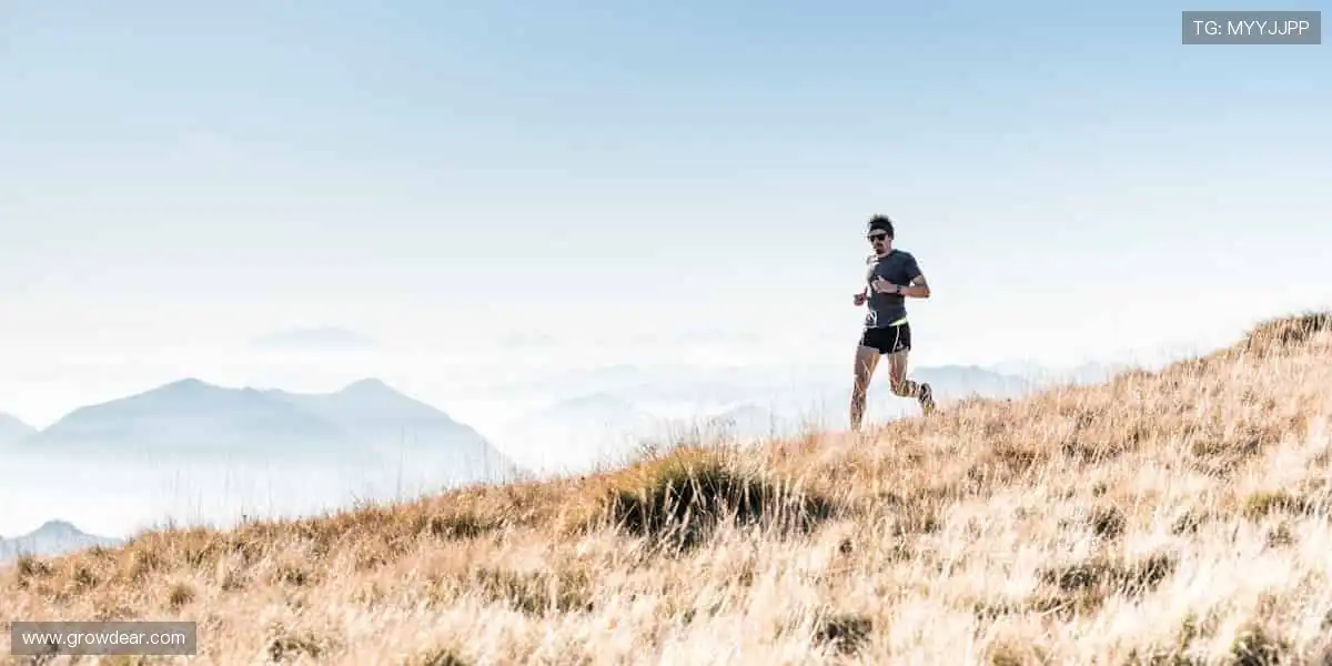 🎁 热爱永不缺席!官方正品周边,把偶像的力量穿在身上,握在手里!